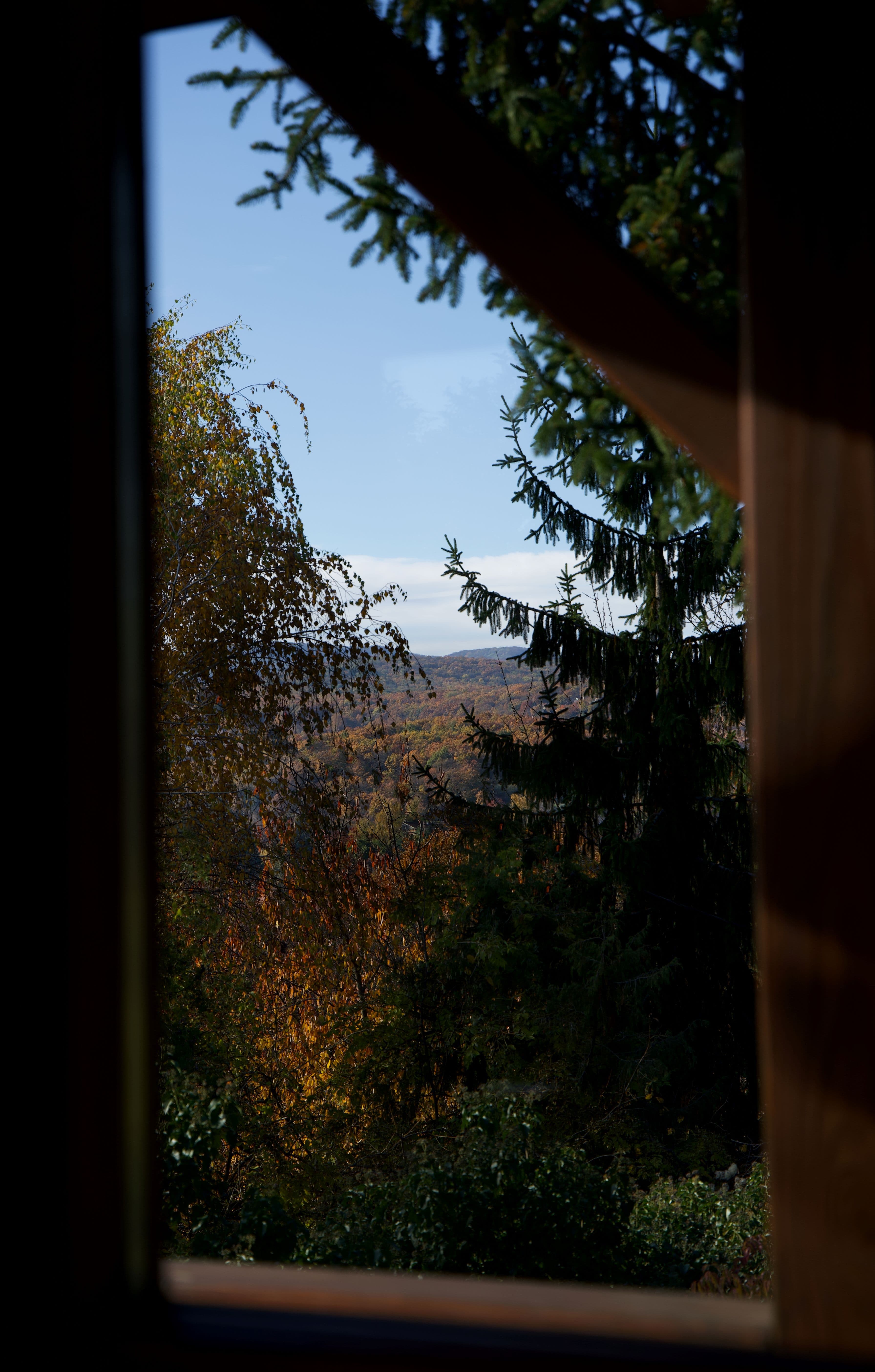 Kilátás az ablakból